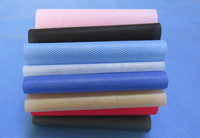 海州涤纶（PET）无纺布是什么